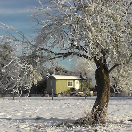 The Abberton Shepherds Hut Evesham Exterior foto